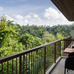 LKP50292-Edit.jpg