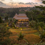 LKP50449-Edit.jpg